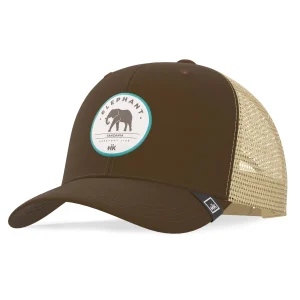 Elephant Truck Brown